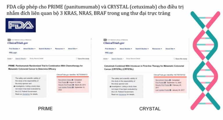 Sinh thiết lỏng trong điều trị đích: Đột biến KRAS, NRAS và BRAF ở bệnh nhân ung thư đại trực tràng nguyên phát khu trú và di căn